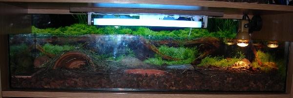 Terrarium żółwia stepowego Stefana widok panoramiczny